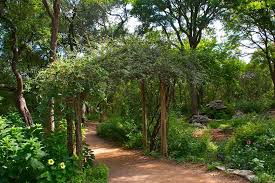 Austin gardens (austin area garden center) are located in zilker park just south of town. Zilker Botanical Garden Austin Tx Wedding Venue