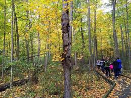 5 Family Friendly Ann Arbor Hikes