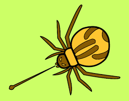 Colorir.com desenhos contos e lendas princesas princesa rainha. Desenhos De Aranhas Para Colorir Colorir Com