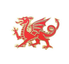 Fiji national rugby league world cup england wales 2013 men's jersey large liven. Wales Rugby Three Feathers Enamel Lapel Pin Badge