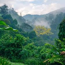 Sepa más de este parque nacional ubicado en el centro de honduras Panacam Proyecto Aldea Global