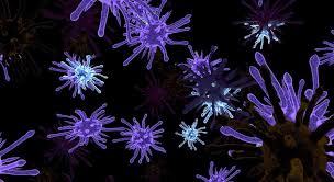 Per tale motivazione è anche conosciuta come malattia del bacio. Il Virus Della Mononucleosi Puo Causare Altre 7 Malattie Galileo
