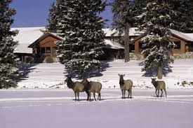 This golf club has 18 holes, 1 golf course and has scored an average rating of 8.0 out of 12 reviews. Fairmont Jasper Park Lodge A Historical Canadian Paradise For Royals Of Hollywood And England Offbeat With Phil Potempa Nwitimes Com