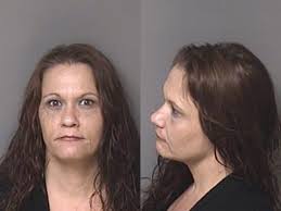 Holly Hamby Possession Of Meth Possession Of Drug Paraphernalia