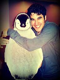 Darren criss and his wife, mia swier, are too cute. Cute Guys Love Penguins Right Darren Criss Daren Criss Glee Cast