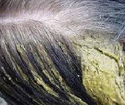 If you're a natural dark brunette and are itching to go blonde, you're if you're looking to make a fun and funky change without commitment, check out this hair makeup by l'oréal. Henna For Grey Hair And How To Make Henna Paste For Grey Hair Myhenna Us