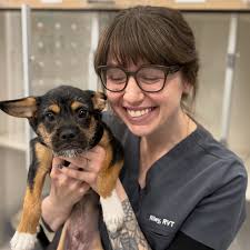 Bosko was in getting his final booster vaccines! But he couldn't leave  without getting cuddles from Riley!! #setonvet #yycpets #CalgaryPets  #yycvets #vetlife #vets #bestvets #modernvets #localbusiness #locallyowned  #privatepractice #seton #yycpetowner ...
