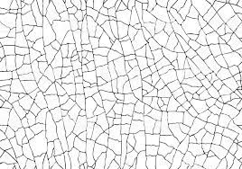 Natural Cracked Texture Isolated On White Background Seamless Seamless Patterns Texture Texture Vector