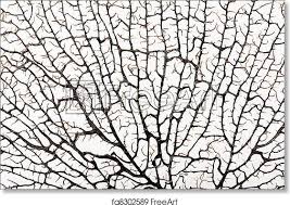 Pin On Black And White Photography Art Prints