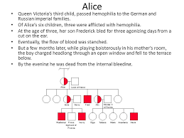 Queen victoria hemophilia pedigree worksheet add anastasia. Hemophilia The Royal Disease Ppt Video Online Download