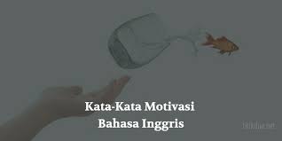 Dari sini kamu mulai belajar bahwa i'm very happy to share english with you. 35 Kata Kata Motivasi Bahasa Inggris Singkat Dan Artinya