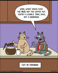 Dream symbols mean different things to different people; What Dream About Many Cats Means