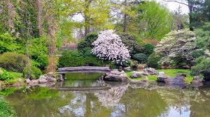 From cultural to educational to health and. Shofuso Japanese House And Garden Lansdowne Dr Horticultural Dr Philadelphia Pa 19131 Usa