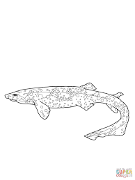 Swell Shark Coloring Page From Sharks Category Select From 27237 Printable Crafts Of Cartoons Nature Animals Shark Coloring Pages Coloring Pages Swell Shark