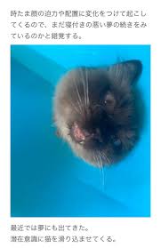 ∠みるき (@drop_pg714)  X