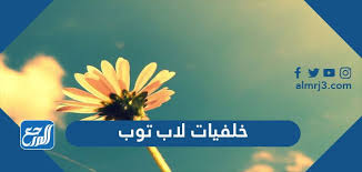 صور خلفيات جميله جدا للبنات. Ø®Ù„ÙÙŠØ§Øª Ù„Ø§Ø¨ ØªÙˆØ¨ Ø¬Ø¯ÙŠØ¯Ø© 4k Ù„Ø³Ø·Ø­ Ø§Ù„Ù…ÙƒØªØ¨ 2021 Ù…ÙˆÙ‚Ø¹ Ø§Ù„Ù…Ø±Ø¬Ø¹