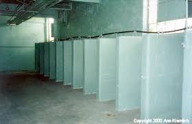 Pin By Jordi Williams On Mug Collection In 2020 Deer Lodge Shower Prison