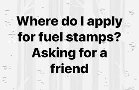 images?q=tbn:ANd9GcQbLMxtyMFPkAQnwT8tD3e