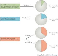 Can Advanced Stage Ovarian Cancer Be Cured Cancer World Archive