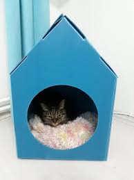 Minderli Kedi Evi Kedi Yatagi Kedi Kulubesi 2112 Weblonya