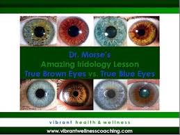 eye color charts meanings eye color list