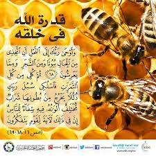 أركان الإيمان Archives البطاقات الدعوية Islam Allah Islamic Design