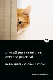 Find gifs with the latest and newest hashtags! Like All Pure Creatures Cats Are Practical Happy International Cat Day
