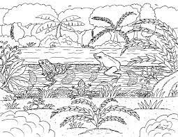 She realizes it is a bit of a stretch for a frog to have feelings for a bird, especially since touching him would kill him, but she is thrilled to be joining. Robin S Great Coloring Pages Poison Dart Frogs