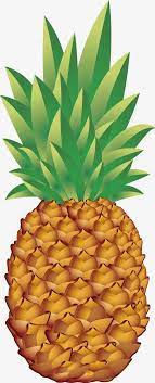 Pineapple Fruit Food Png And Vector With Transparent Background For Free Download Pineapple Clip Art Pineapple Images