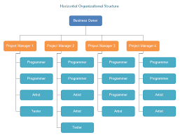 general introduction to horizontal organization structure