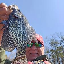Catching Crappies and Bluegill with Charlie Brewer's Slider Baits
