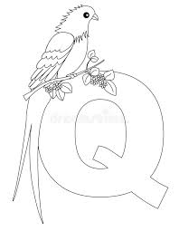 Select from 35478 printable coloring pages of cartoons, animals, nature, bible and many more. Animal Alphabet Q Coloring Page Stock Vector Illustration Of Book Font 9999352