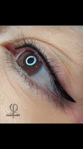 اینم خط چشم زیبا جوی مهربونم 🤌💎اینم پایان کار پست قبلی که گفتم پایان  شوبراتون می‌زارم🥰, #خط_چشم_دائم #خط_چشم #خط_چشم_کلاسیک #خط_چشم_مینیاتوری  #شیدینگ_چشم #آرایش_دائم #ماندگاری_بالا #میکروپیگمنتیشن ...