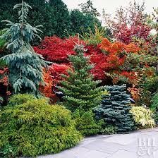 If your house has a very symmetrical layout, a similarly designed garden is quite a striking front yard idea. Use Evergreens To Make An Impact In Your Landscape Better Homes Gardens