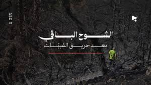 قضيّة جيزيل بيليكو | Megaphone