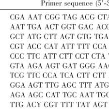Image result for Tricalysia schliebenii