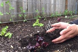 Check spelling or type a new query. Nanaimo Company Offering Free Soil For Self Isolators To Get Into Gardening Nanaimo News Bulletin