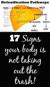 Is detoxing really a thing? 17 Signs Of Impaired Liver Detoxification 12 Is All Too Common Liver Detox Liver Health Liver Detoxification