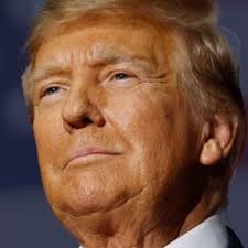 Lion Bob Junior, 'king of the Serengeti,' killed by rivals