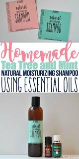 Diy Moisturizing Shampoo That Ll Save You So Much Money Tea Tree Oil Shampoo Essential Oil Shampoo Moisturizing Shampoo