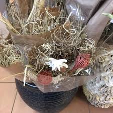 Shop with me at christmas tree shops, right away walking in they have some pretty christmas yards decor, inflatables, and signs. Christmas Tree Shops 31 Photos 55 Reviews Christmas Trees 177 Middlesex Ave Somerville Ma Phone Number Yelp