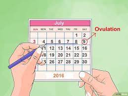 Pin On Conceiving A Girl