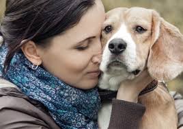 Public Humanities Exchange (HEX and HEX-U)