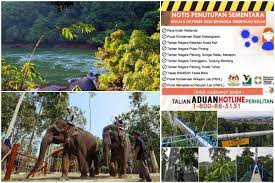 Bagaimanapun, hutan bakau di malaysia telah merosot sebanyak 30 peratus sejak lima dekad yang. 12 Fasiliti Taman Negara Termasuk Frim Pusat Konservasi Hidupan Liar Ditutup Akibat Peningkatan Covid 19 Libur