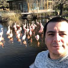 JESUS IGNACIO VALLEJO GUERRON