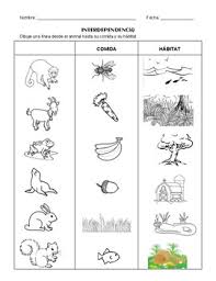 Interdependence 3 Activities T Chart And Assessment In Spanish