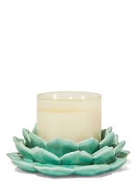 We did not find results for: Ceramic Succulent 3 Wick Candle Holder Bath Body Works