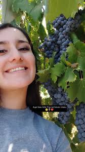 Master's degree in enology in Texas opportunities