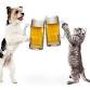 Yappy Hour