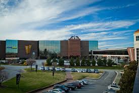 Profile for Lauren Horner